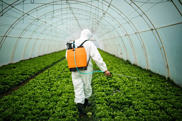 Best Ant Control Services  in Odell, OR