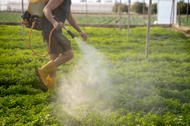 Best Pest Control Near Me in Odell, OR