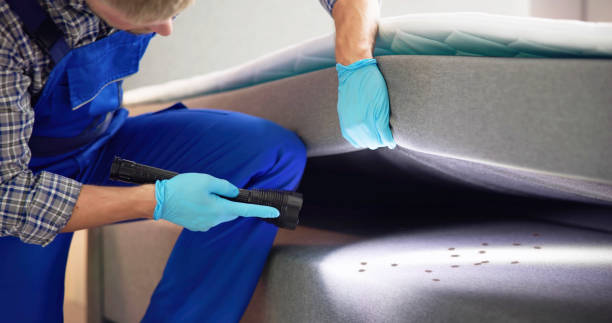 Best Local Pest Control Services  in Odell, OR