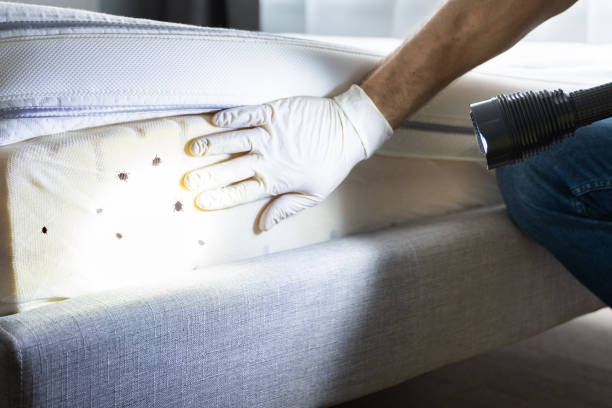 Best Best Pest Control Companies  in Odell, OR