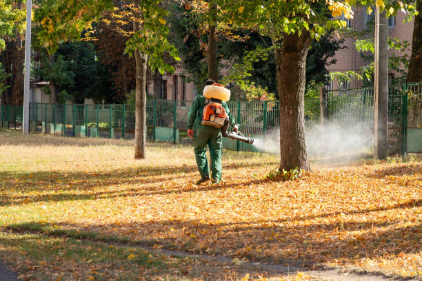 Best Pest Removal Services  in Odell, OR