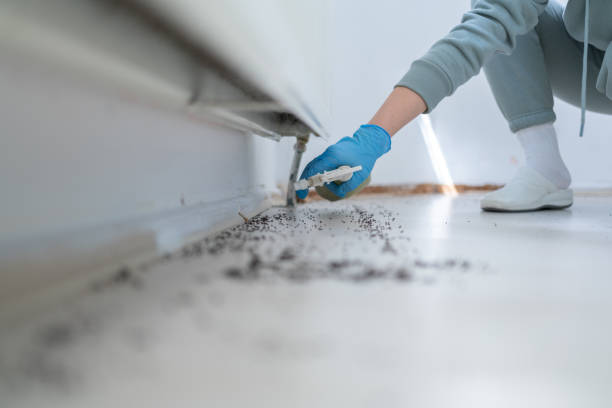 Best Pest Control Cost  in Odell, OR