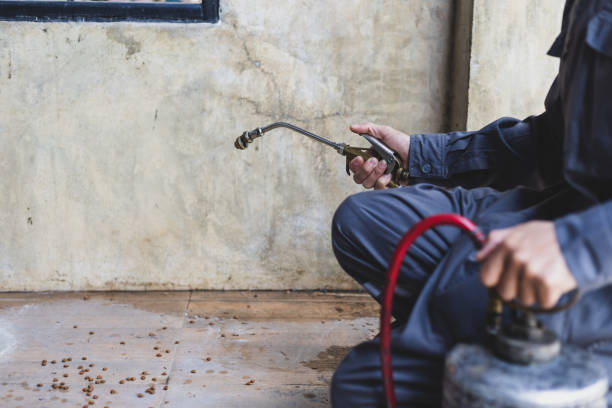 Best Exterminator Services  in Odell, OR
